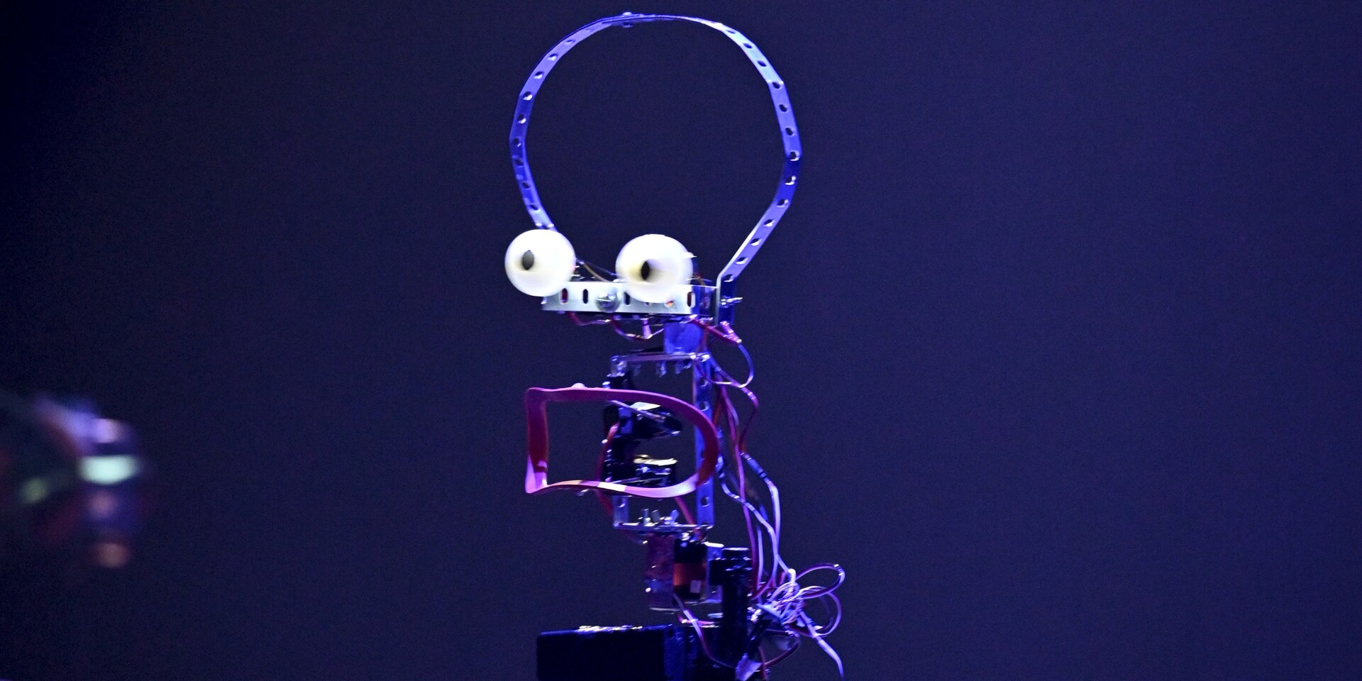 LA TÊTE . Sans filtre - 2025